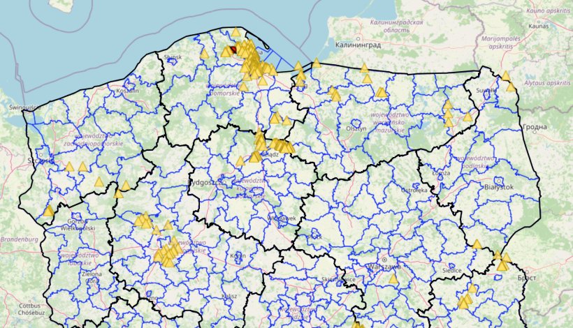 ASF u dzików w 2025r.