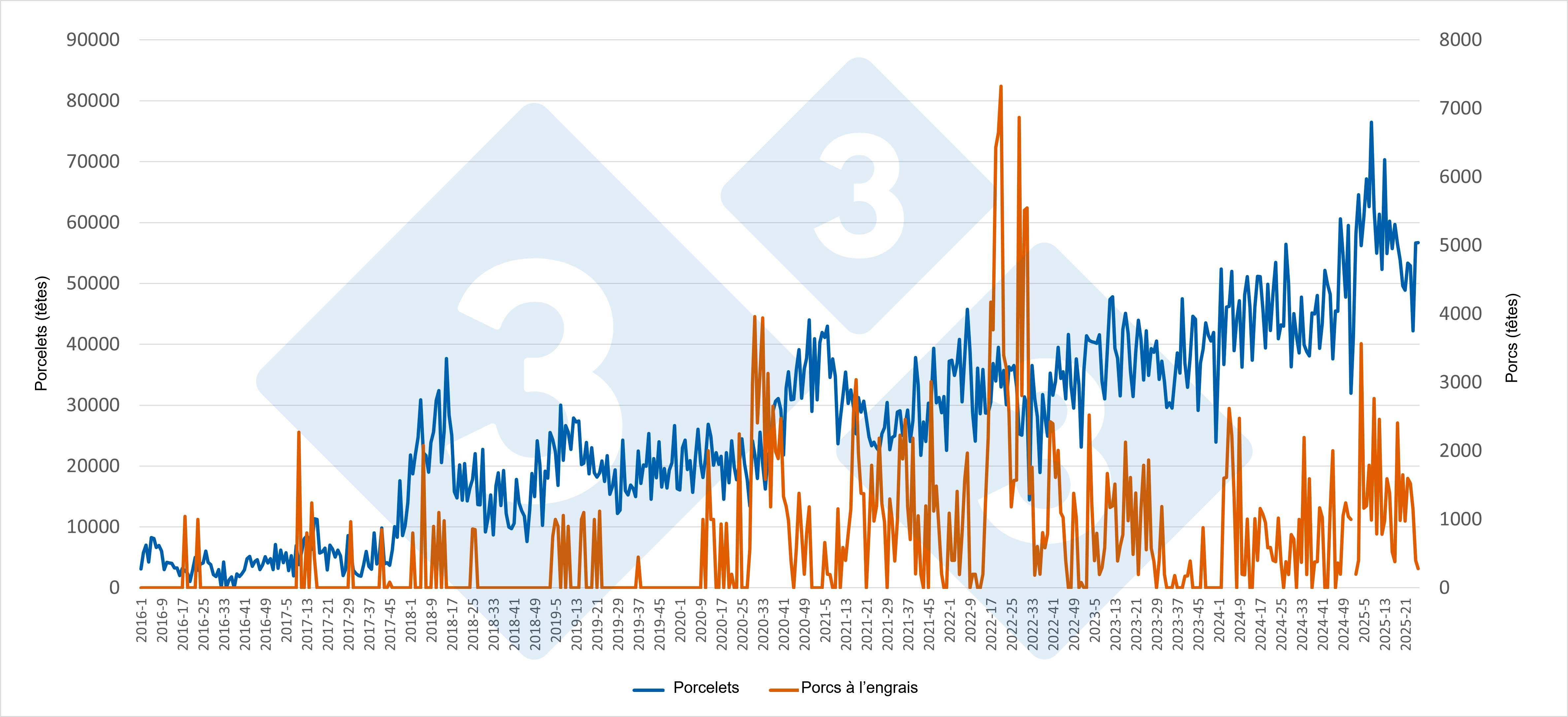 Evoluci&oacute;n semanal de las importaciones espa&ntilde;olas de lechones y cerdos de engorde procedentes de Pa&iacute;ses Bajos (enero 2016 &ndash; junio 2025). Fuente: Redacci&oacute;n 333 a partir de datos del RVO.