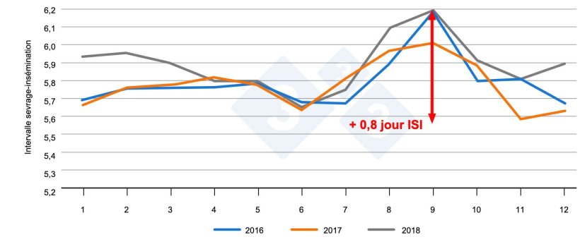 Figure&nbsp;1. Intervalle entre le sevrage et l&rsquo;ins&eacute;mination en fonction du mois de l&#39;ann&eacute;e. Source : PigChamp Pro Europa
