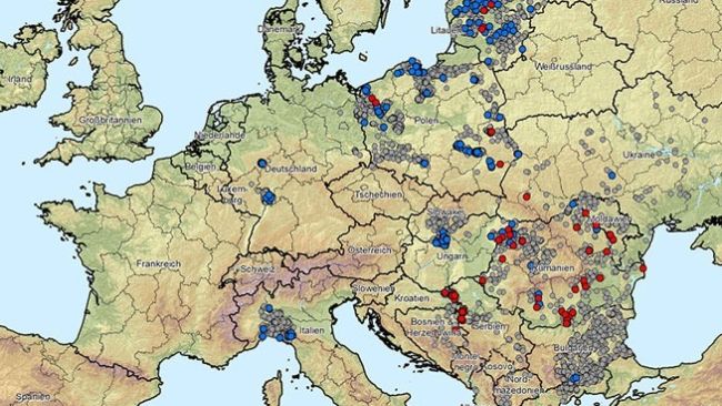 Figure 1. Foyers de peste porcine africaine (g&eacute;notype II) en Albanie, dans les pays baltes, en Bosnie-Herz&eacute;govine, en Bulgarie, en Allemagne, en Gr&egrave;ce, en Italie, au Kosovo, en Croatie, Moldavie, Mont&eacute;n&eacute;gro, Mac&eacute;doine du Nord, Pologne, Roumanie, Su&egrave;de, Serbie, Slovaquie, R&eacute;publique tch&egrave;que, Ukraine et Hongrie (du 20/08/2024 au 20/08/2025). Source des donn&eacute;es : ADIS, TSN (au 20/08/2025 - 08h40)
