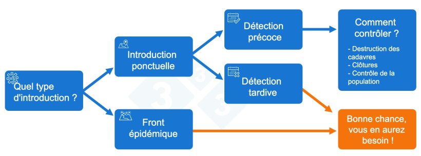 Figure 2. Schéma décisionnel pour la réponse face à l'introduction de la peste porcine africaine (PPA)
