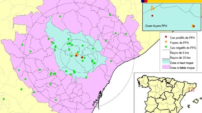 Localisation des 7 foyers chez des sangliers sauvages et des sangliers retrouvés morts négatifs détectés en Catalogne (Source : MAPA).