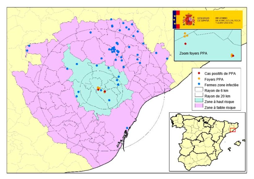 Localisation des 7 foyers chez des sangliers sauvages et des exploitations porcines situées dans la zone infectée, avec les municipalités en zone à haut et faible risque. (Source : MAPA).