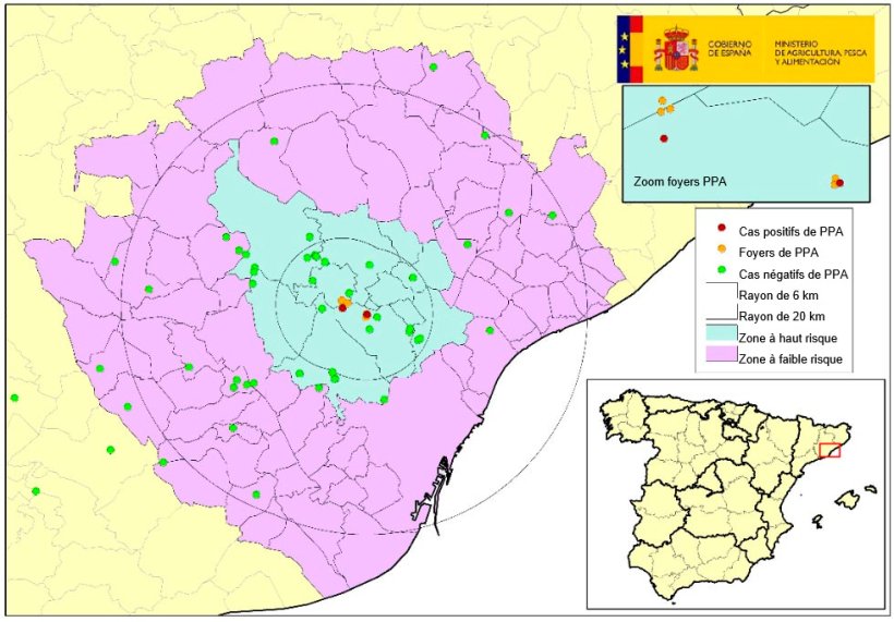 Localisation des 7 foyers chez des sangliers sauvages et des sangliers retrouvés morts négatifs détectés en Catalogne (Source : MAPA).