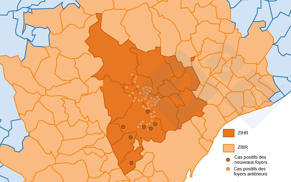 Localización detallada de los 162 casos de jabalíes silvestres detectados en la zona infectada