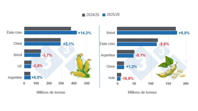 Graphique 1 : Projection de récolte des principaux producteurs mondiaux de maïs et de soja – campagne 2025/26 versus cycle 2024/25 – dernière mise à jour : 10 février 2026.
Elaborado por el Departamento de Economía y Sostenibilidad de 333 Latinoamérica con datos de FAS - USDA