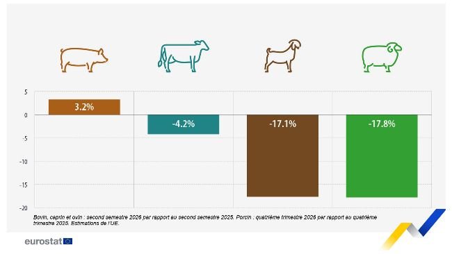 Variation prévue de la production animale dans l’UE, périodes sélectionnées de 2026 par rapport à 2025 (%)