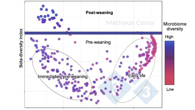 Figure 1. Scatter plot showing the associations between the microbiome composition of pigs during early life (0-7 days), immediately pre-weaning (21 days), and after weaning (100 days). The largest shift is observed between pre-weaning and post-weaning samples. Alpha diversity is at its peak after weaning (shown as &ldquo;microbiome diversity&rdquo;).
