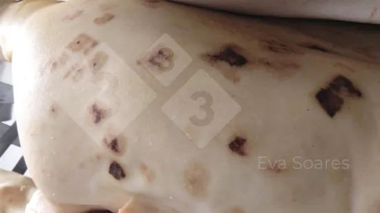 Semaine du 31-Déc-2025