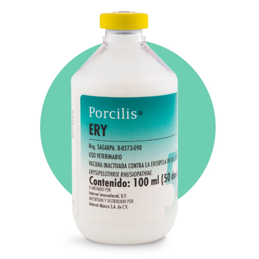 Vacuna: Porcilis® Ery