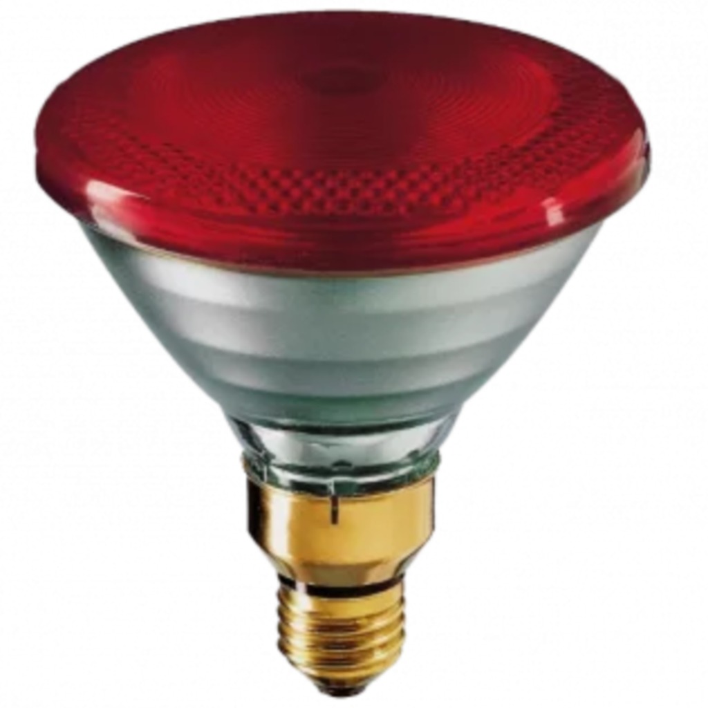 Philips PAR infrared bulb 100 Watts white-red 12 pcs