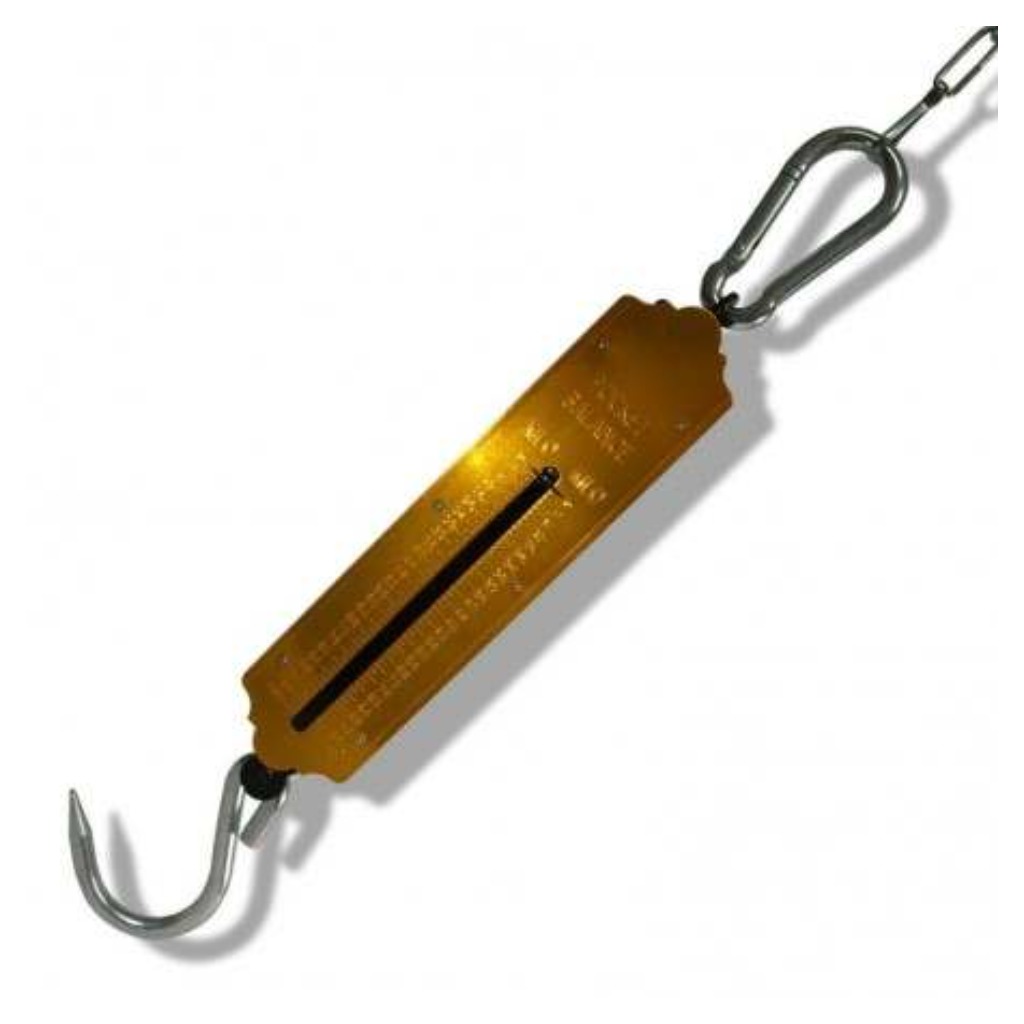 Dinamometro tubolare - 100 kg