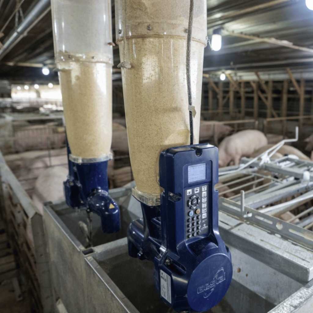 GESTAL 3G: Feeding System for Gestating Sows in Groups