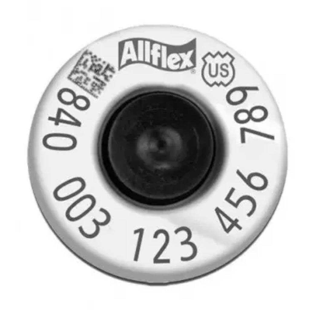 Etichetta auricolare elettronica HP HDX con pulsante