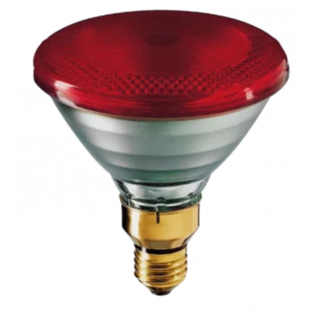 Philips PAR infrared bulb 100 Watts 1 unit