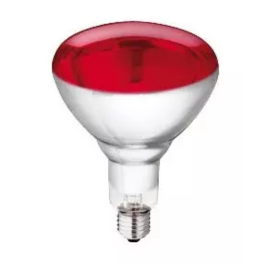 Lampadina riscaldante rossa Philips HG 250 watt 10 unità