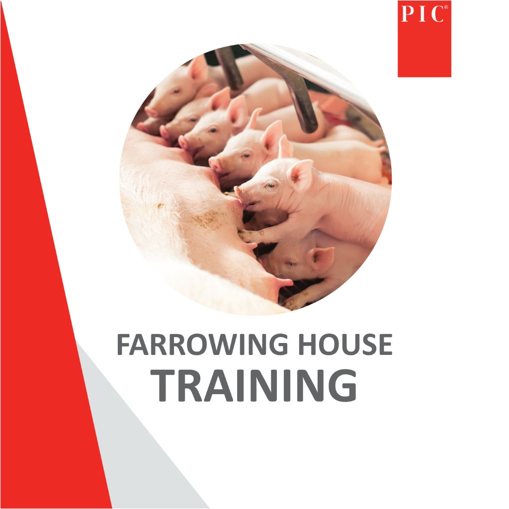 ONLINE Farrowing House Training - 13 Aug 2025