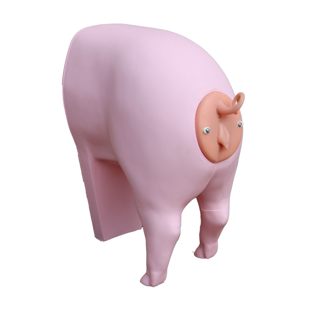 Suzy, porcine AI training model