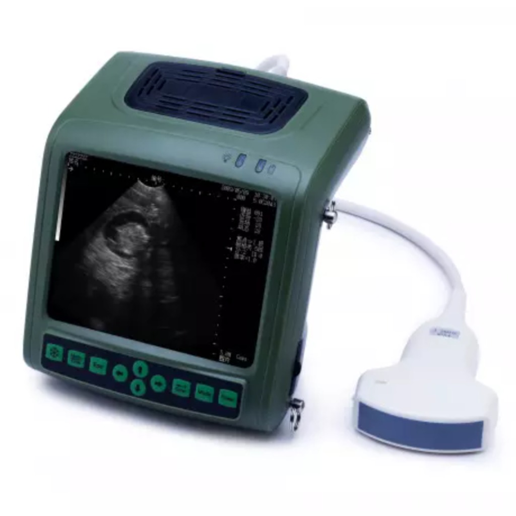 Échographe à sonde convexe Kaixin ES8 3,5 MHz