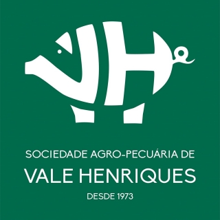 Vale Henriques
