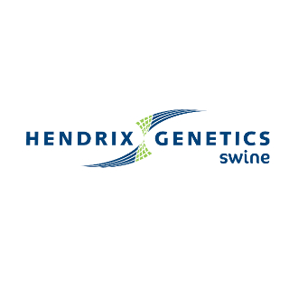 Hendrix Genetics Swine | Latinoamérica 