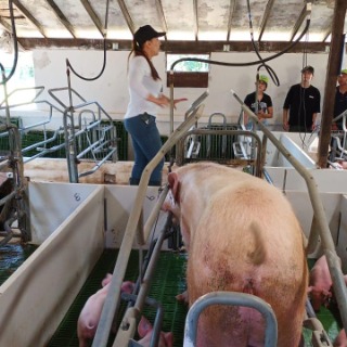 Verónica  González