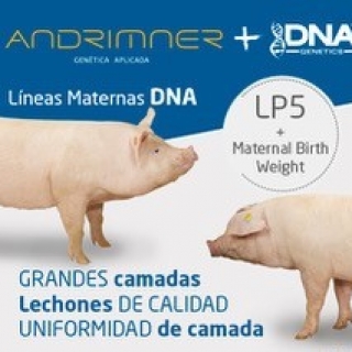 andrimner-genetica-aplicada-s-l-u
