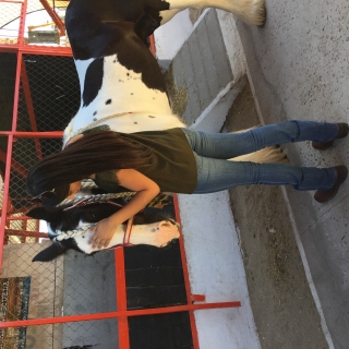 Andrea  Santamaria moreno 