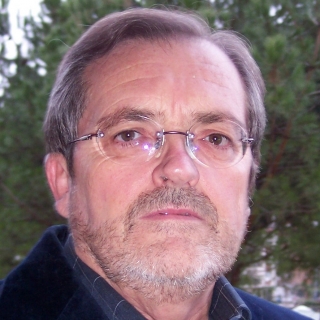 Fernando Suárez Mejido