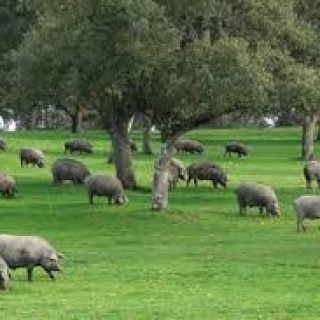 JOSE LUIS REINA MARTINEZ