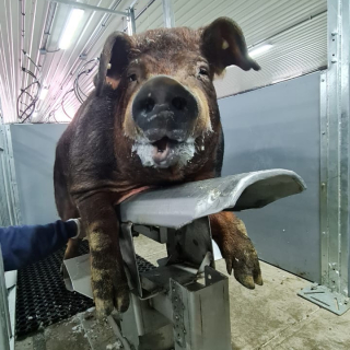 Miguel Alebrto Garcia Armenta