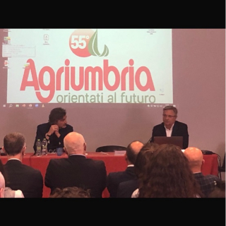 Francesco Sgarangella