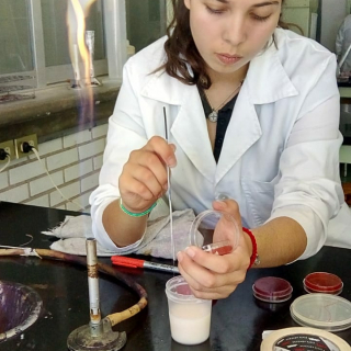 Alejandra Verdin Reyes