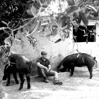 javier gonzalez martin