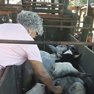 Luciana  Assumpção Borges de Oliveira