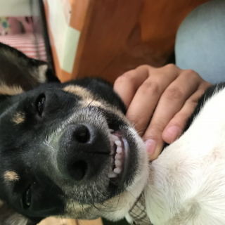 Ana Laura  Sánchez González 