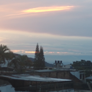 Jorge Elias Ortiz Meneses