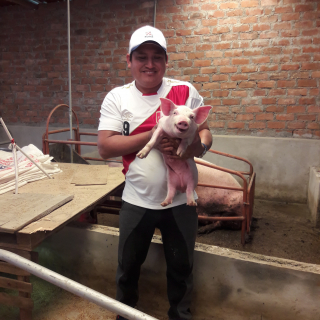 HELI ENRIQUE  QUIPUSCOA PONCE 