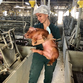 Daniela  Vega Castro 