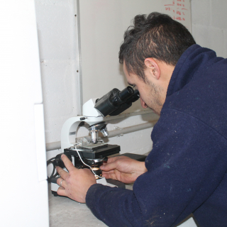 Aldo Gonzalez Mereles