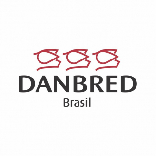 Danbred Brasil 