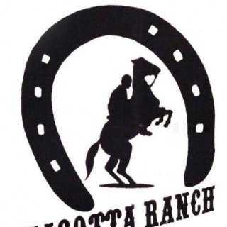 JONATHAN Amadori Amadori