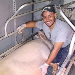 BRUNO SANTIAGO PINHO