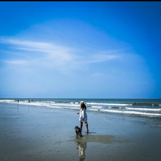 Mishell Tejada Salinas 