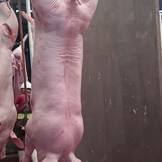 Victor Manuel Lopez Zalpa