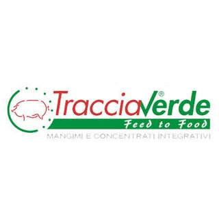 Traccia Verde  