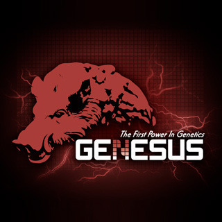 Genesus  