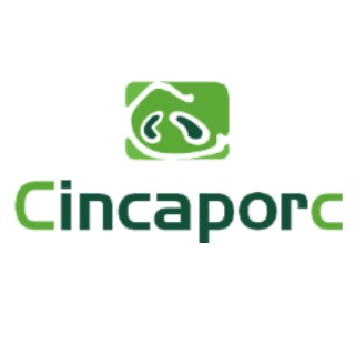 Cincaporc  