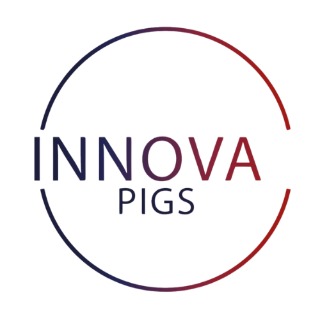 Innova Pigs 