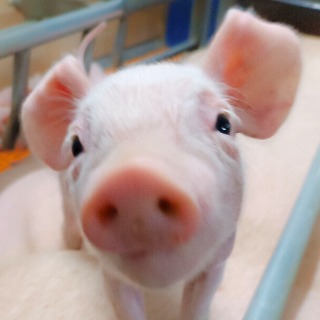 María Marín Giménez